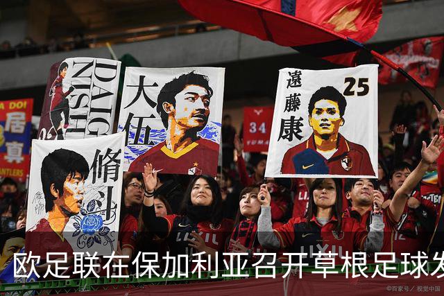 欧足联在保加利亚召开草根足球发展会议